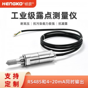工業露點傳感器_恒歌 ±2%RH高精度天然氣管道工業露點儀